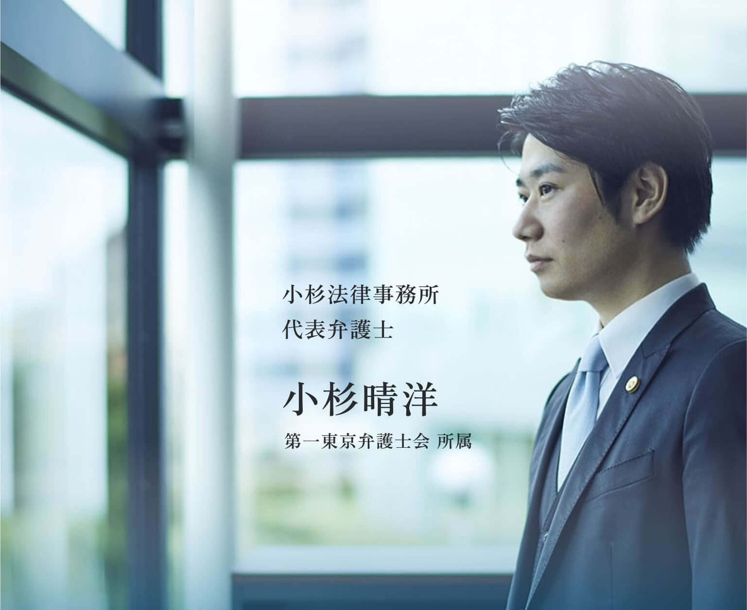 小杉法律事務所代表弁護士,小杉晴洋,第一東京弁護士会 所属