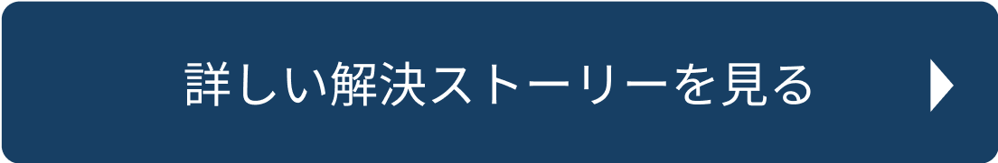 詳しい解決ストーリーを見る